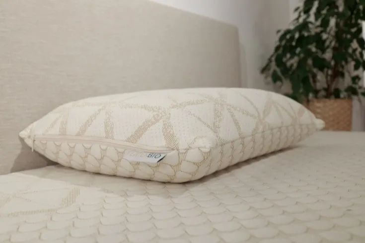 Le meilleur pour la transpiration nocturne : LatexBIO Oreiller Adulte épais